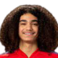 https://img.lnwkls.cn/img/football/player/87359ed9061cfd73513d827263deebcd.png